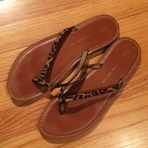 Gap leopard print leather flip flops